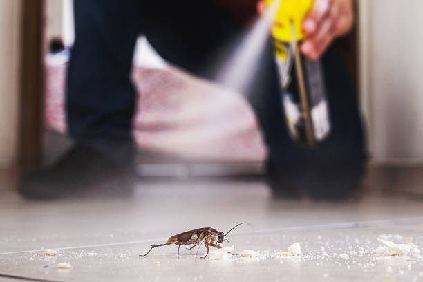Best Residential Pest Control  in Durant, IA